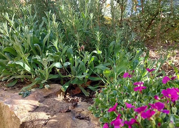 Denkmalgeschuetztes In Der Suedeifel - Hazen Casa de Férias